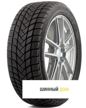 Delinte Winter WD6.jpg
