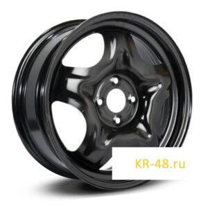 ТЗСК Renault Sandero Black.jpg