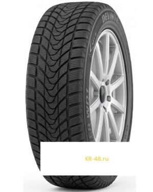 Delinte Winter WD1.jpg